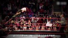 wwe：进化大赛