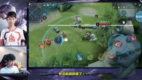 开局就有王者账号,开局即拥有王者账号的传奇之旅