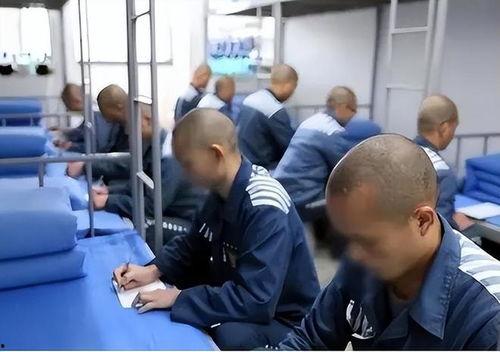 监狱生活,揭秘监狱生活的真实面貌