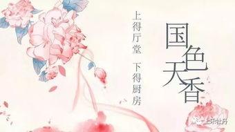 明明可以靠武力，娘子非要靠脑子,明明的武力，娘子的智慧